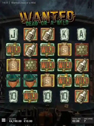 Wanted Dead or a Wild